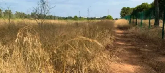 قطعة أرض في San Antonio de Benageber, Spain 13469متر مربع رقم 133746 2