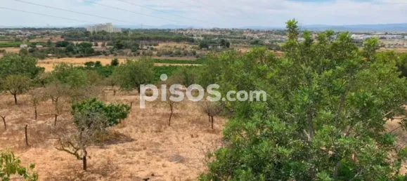 قطعة أرض في San Antonio de Benageber, Spain 13469متر مربع رقم 133746 7