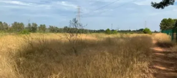 قطعة أرض في San Antonio de Benageber, Spain 13469متر مربع رقم 133746 3