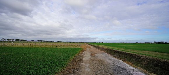 14-Zimmer Haus in Grosseto, Italy, Nr. 124722 25