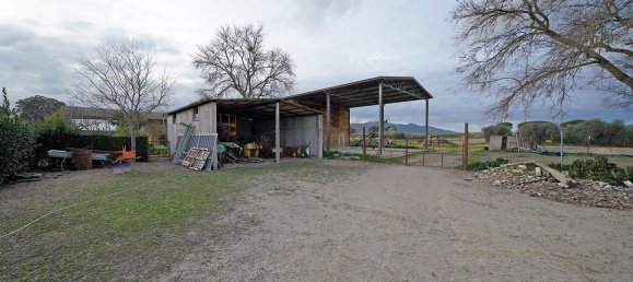 14-Zimmer Haus in Grosseto, Italy, Nr. 124722 26