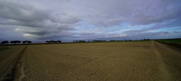 14-Zimmer Haus in Grosseto, Italy, Nr. 124722 16