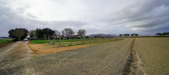 14-Zimmer Haus in Grosseto, Italy, Nr. 124722 7