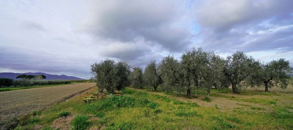 14-Zimmer Haus in Grosseto, Italy, Nr. 124722 23