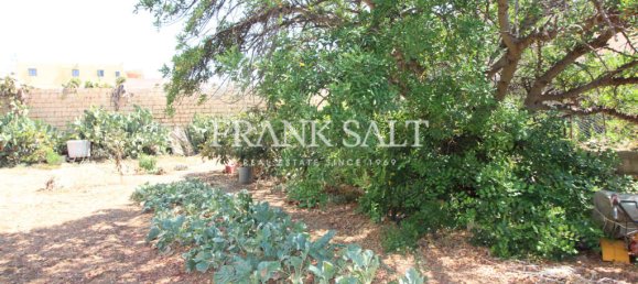 1 chambre Maison à Birkirkara, Malta No. 1520 7