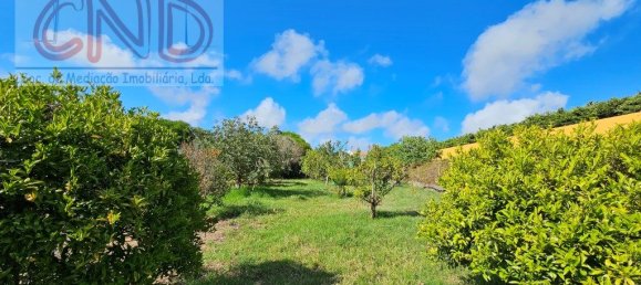 4 bedrooms House in Mafra, Portugal No. 56548 33