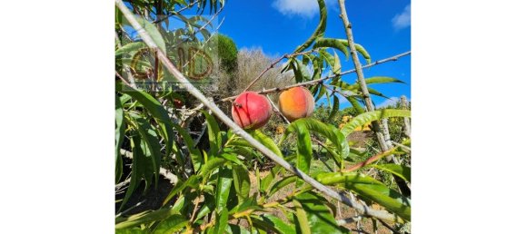 4 bedrooms House in Mafra, Portugal No. 56548 35