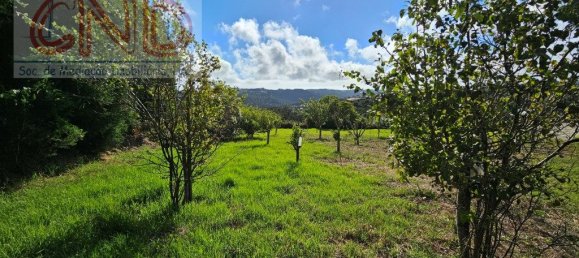 4 bedrooms House in Mafra, Portugal No. 56548 32