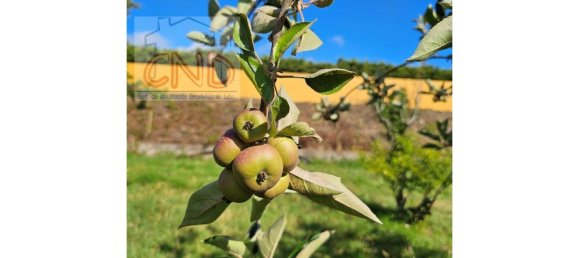 4 bedrooms House in Mafra, Portugal No. 56548 38