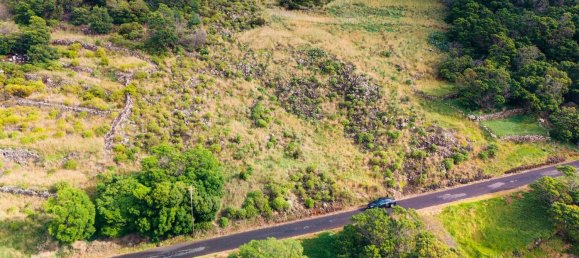  قطعة أرض في Canical, Portugal 20800متر مربع رقم 144004 25