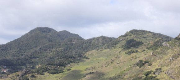  قطعة أرض في Canical, Portugal 20800متر مربع رقم 144004 8