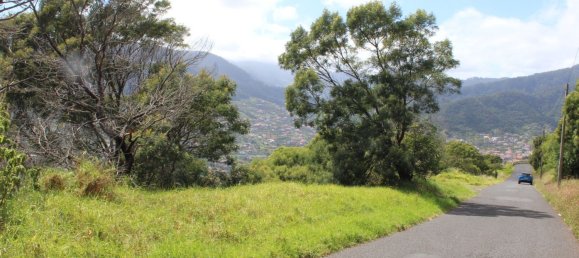  قطعة أرض في Canical, Portugal 20800متر مربع رقم 144004 19