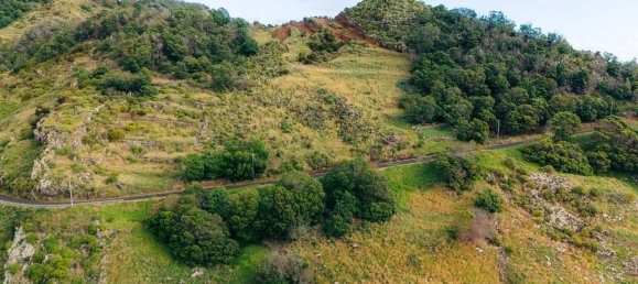  قطعة أرض في Canical, Portugal 20800متر مربع رقم 144004 28