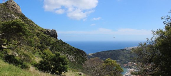  قطعة أرض في Canical, Portugal 20800متر مربع رقم 144004 6