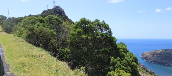  قطعة أرض في Canical, Portugal 20800متر مربع رقم 144004 14