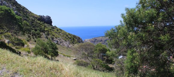  قطعة أرض في Canical, Portugal 20800متر مربع رقم 144004 18