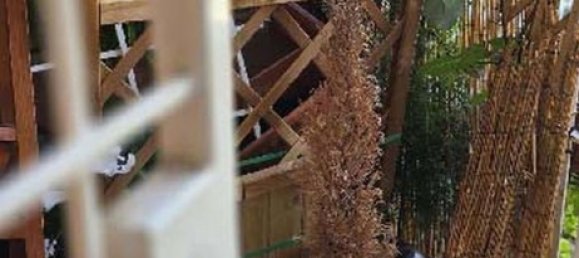 Studio in Rome, Italy No. 202928 13