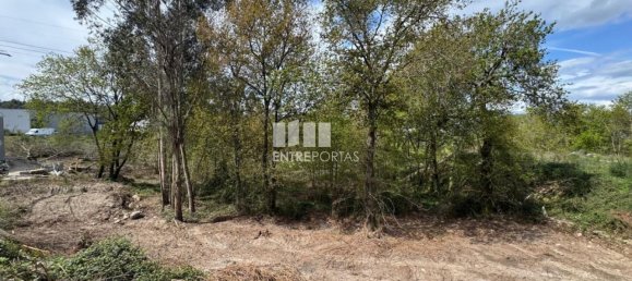 Terrain à Freamunde, Portugal 500m² No. 45730 10