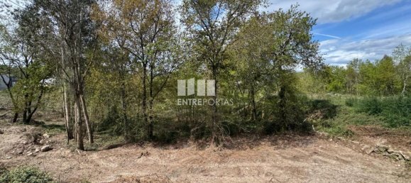 Terrain à Freamunde, Portugal 500m² No. 45730 28