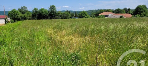 2326m² Land in Bonrepos, France No. 111738 4
