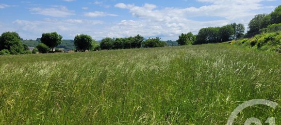 2326m² Land in Bonrepos, France No. 111738 3