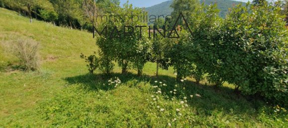 Terrain à Albino, Italy 5130m² No. 119813 9