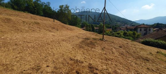 Terrain à Albino, Italy 5130m² No. 119813 37