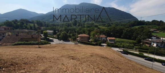 Terrain à Albino, Italy 5130m² No. 119813 50