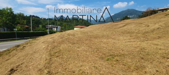 Terrain à Albino, Italy 5130m² No. 119813 15