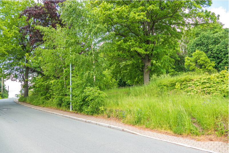 Grundstück in Erzgebirgskreis, Germany, Nr. 73446