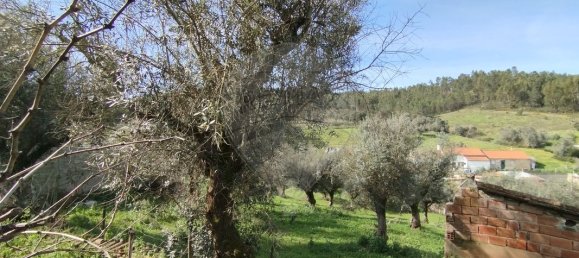 6 bedrooms House in Gaviao, Portugal No. 20217 11