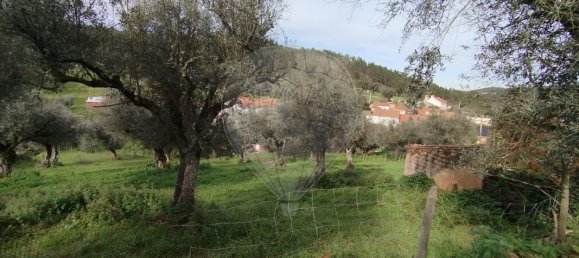 6 bedrooms House in Gaviao, Portugal No. 20217 12