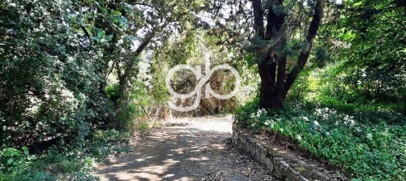 4 غرف نوم فيلا في Occitanie, France رقم 298275 12