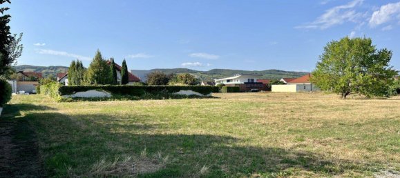 616m² Land in Purbach am Neusiedler See, Austria No. 166801 2