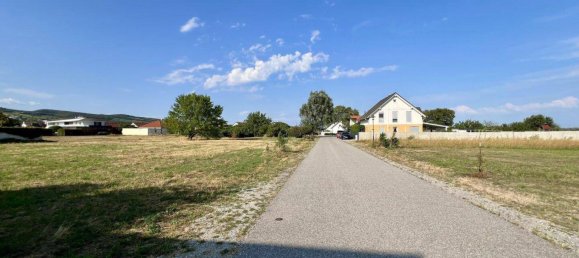 616m² Land in Purbach am Neusiedler See, Austria No. 166801 3