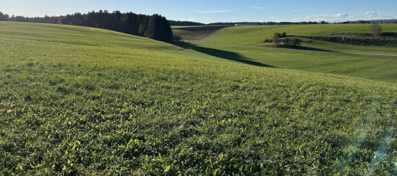 Terreno en Gampern, Austria 789 m² No. 199012 3