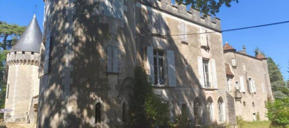 13 bedrooms Castles in Dordogne, France No. 288466 13