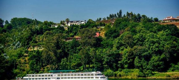 6 bedrooms House in Vila Nova de Gaia, Portugal No. 6584 3