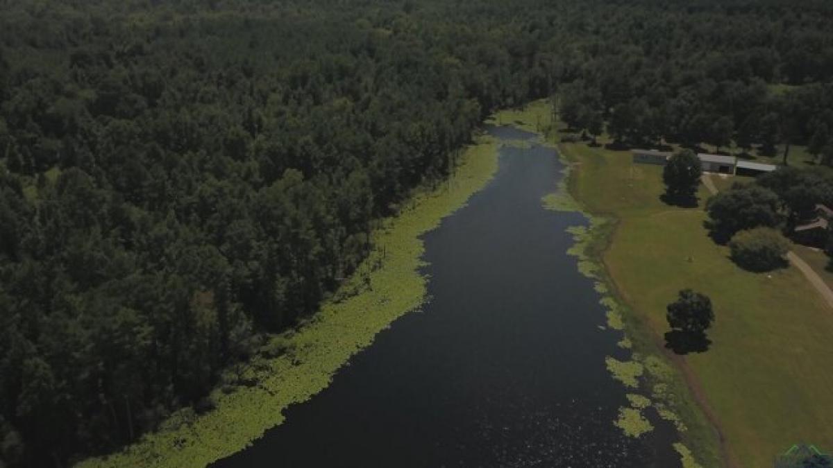 3 Schlafzimmer Haus in Rusk, USA, Nr. 440777