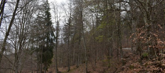 Grundstück in Oltre il Colle, Italy 19000m², Nr. 168266 3