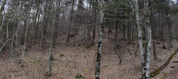 Grundstück in Oltre il Colle, Italy 19000m², Nr. 168266 5