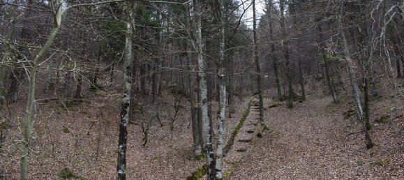 Grundstück in Oltre il Colle, Italy 19000m², Nr. 168266 6