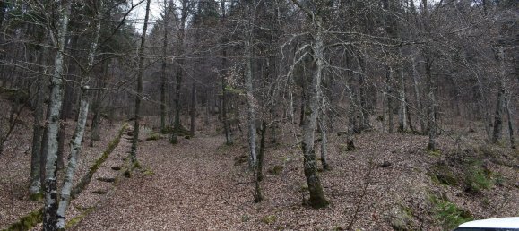 Grundstück in Oltre il Colle, Italy 19000m², Nr. 168266 7