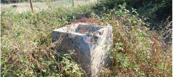 Grundstück in Sao Bartolomeu de Messines, Portugal 4140m², Nr. 38997 2