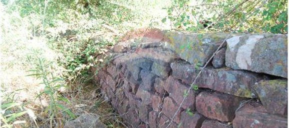 Grundstück in Sao Bartolomeu de Messines, Portugal 4140m², Nr. 38997 5