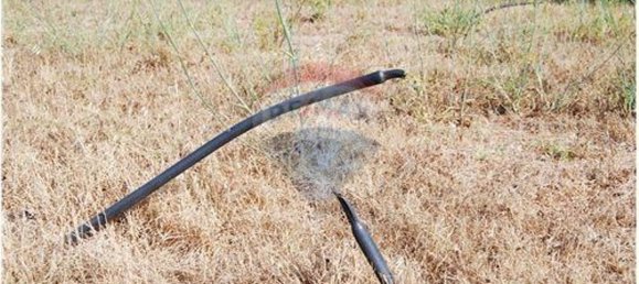 Grundstück in Sao Bartolomeu de Messines, Portugal 4140m², Nr. 38997 15