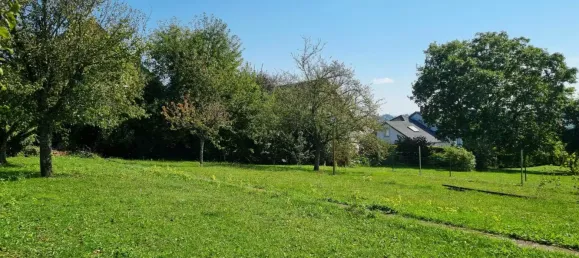 Grundstück in Sarrebourg, France 704m², Nr. 247006 5