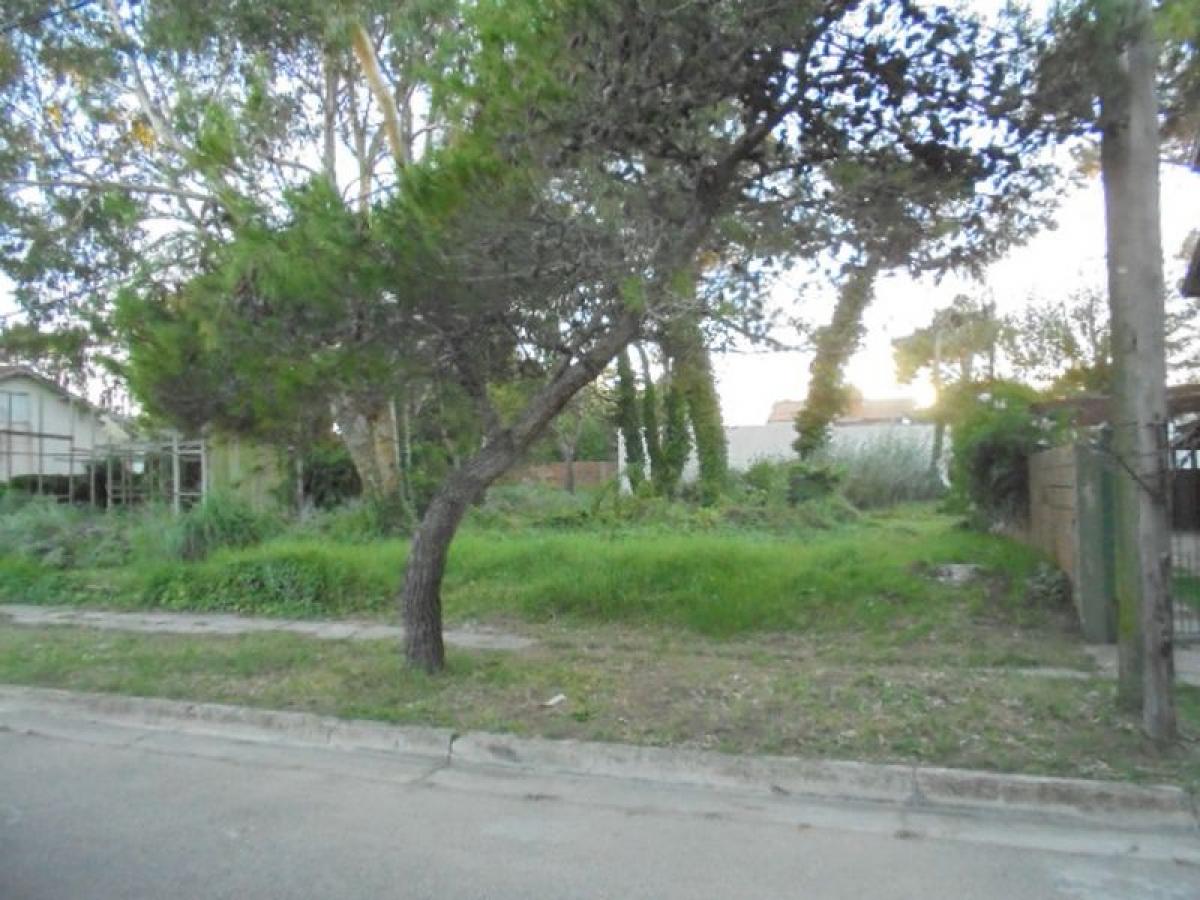 Terrain à Mar del Plata, Argentina No. 116576