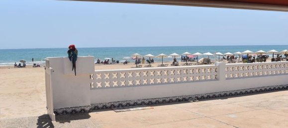 6 bedrooms House in Guardamar del Segura, Spain No. 185973 23