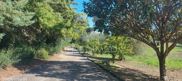 4 bedrooms House in Santarem, Portugal No. 124977 25